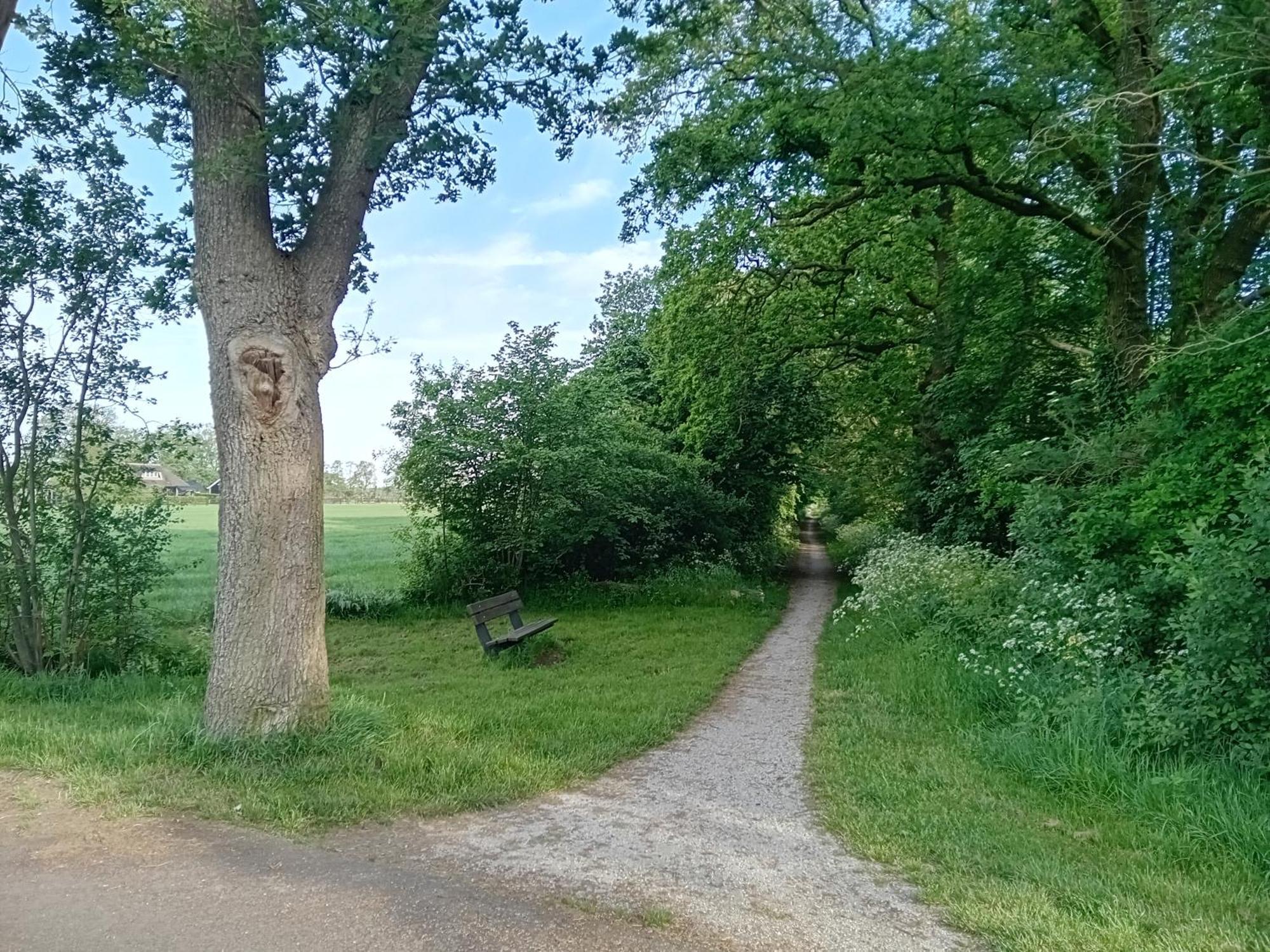 Ruim Huisje Op Een Prachtige Plek Hemrik 외부 사진