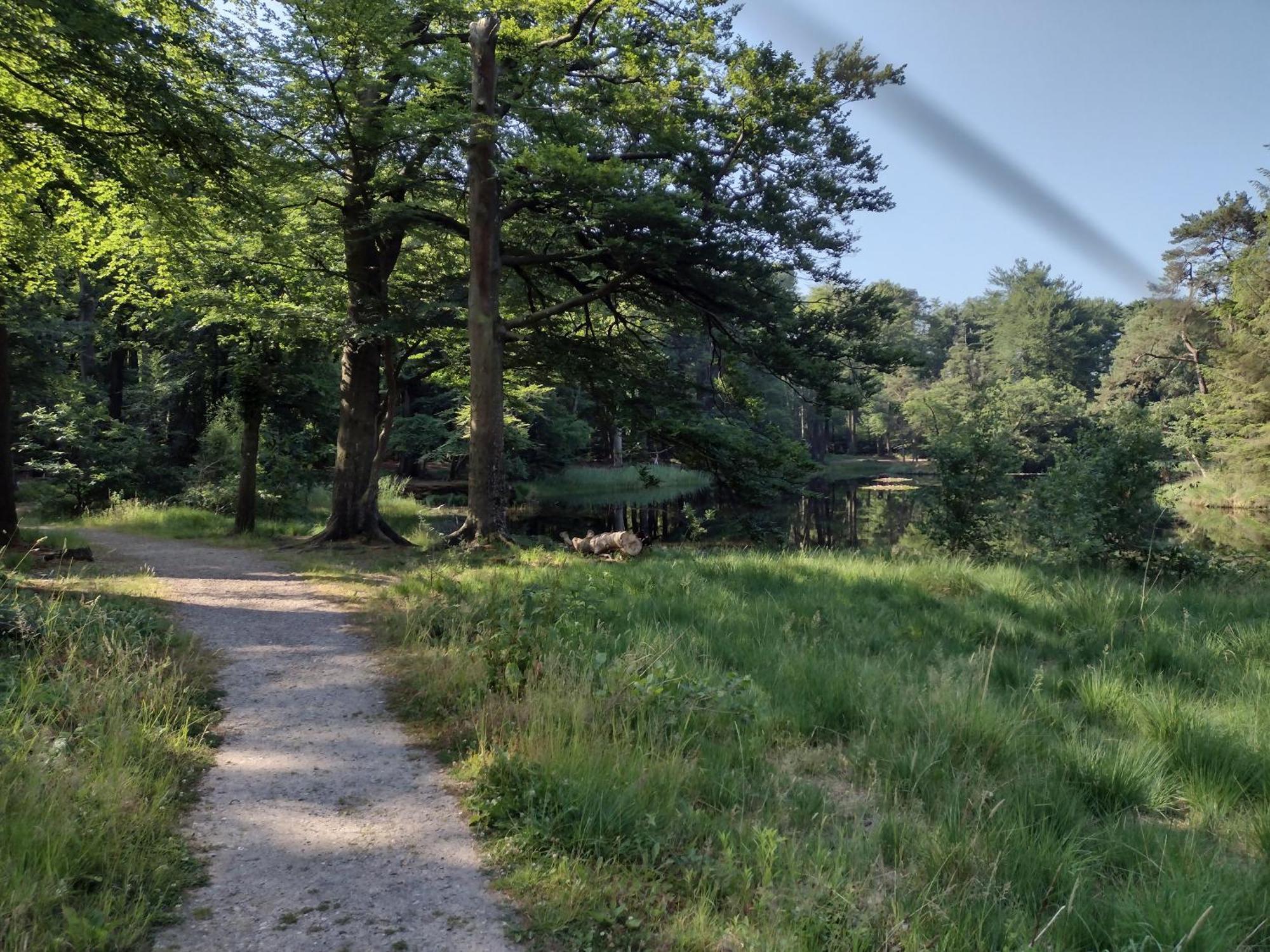 Ruim Huisje Op Een Prachtige Plek Hemrik 외부 사진